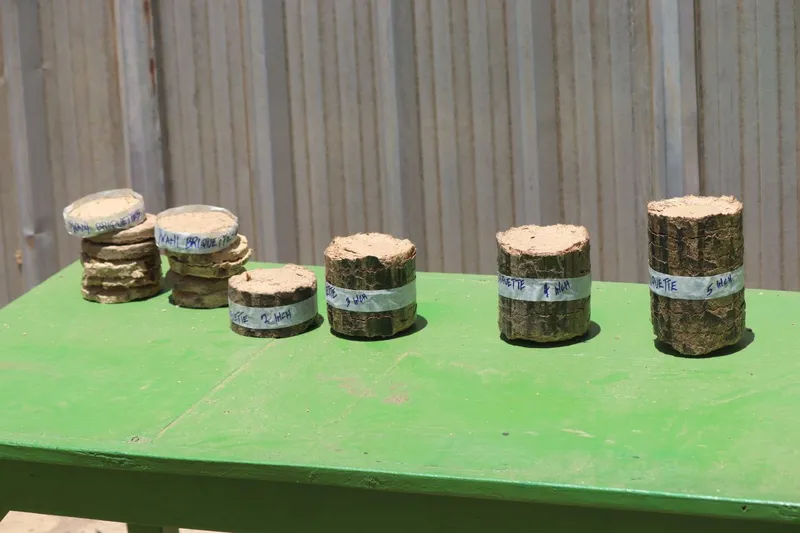 Briquettes