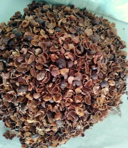 Coffee husks