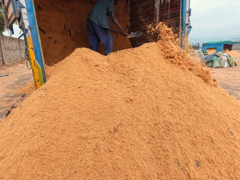 Sawdust